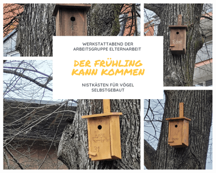 Der Frühling kann kommen.